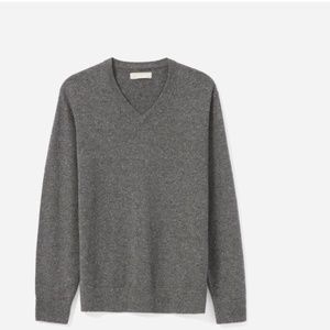 everlane cashmere V-Neck men sweater